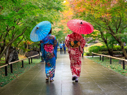 Two geishas walking with bright kimonos and umbrellas