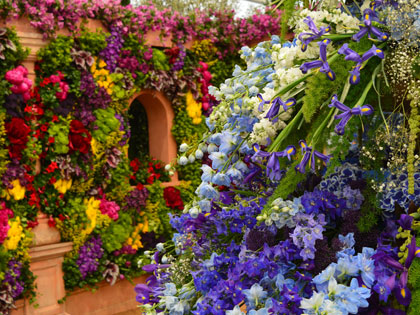 colourful-flowers-on-house-exterior-420x315