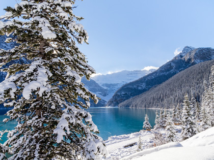 Snow Covered Trees Beside a Beautiful Turquoise Lake