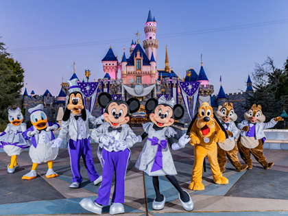 Mickey mouse characters infrontof the disney castle. 
