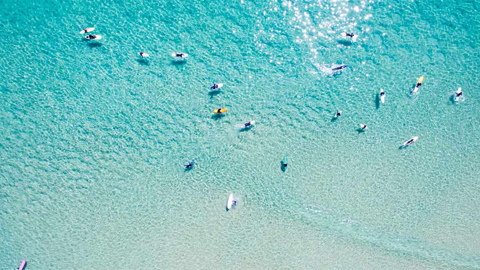 Aerial view of surfers paddling on clear blue water.