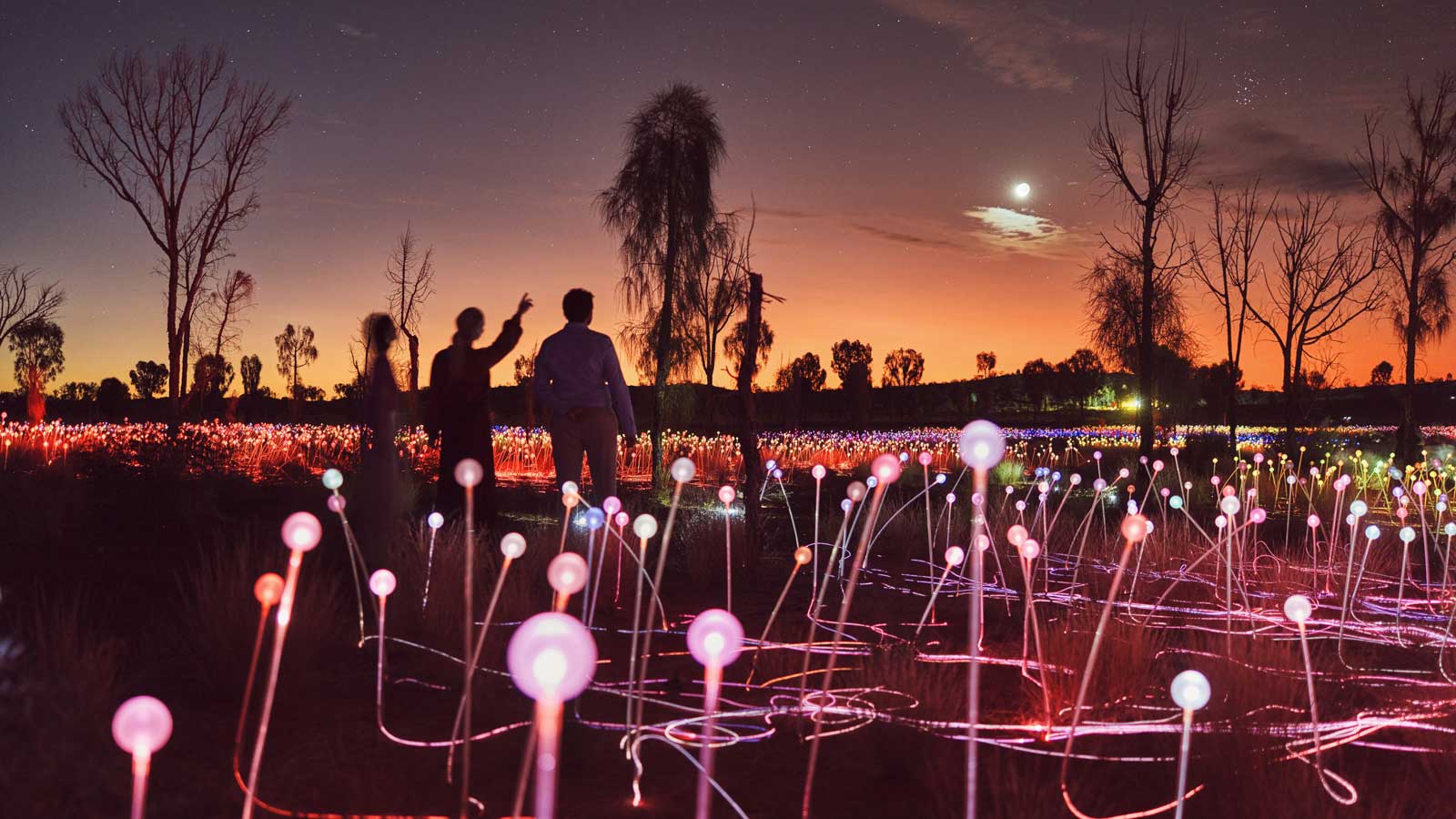 Spectacular Field of Lights in Northern Territory.