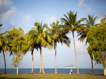 Couple standing under palm trees overlooking the ocean