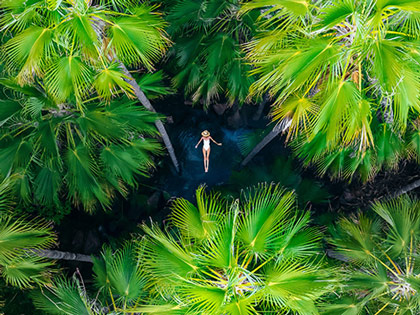 Woman floating in the water surrounded by large trees