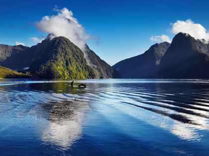 Sunny day at Mitre Peak in Milford Sound.