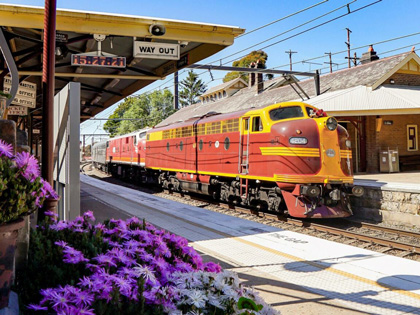 A red and yellow train stationed in an old style railway station surrounded with purple flowers.