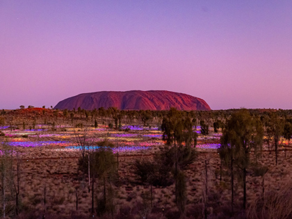 Uluru at dusk wiht the firld of lights on display