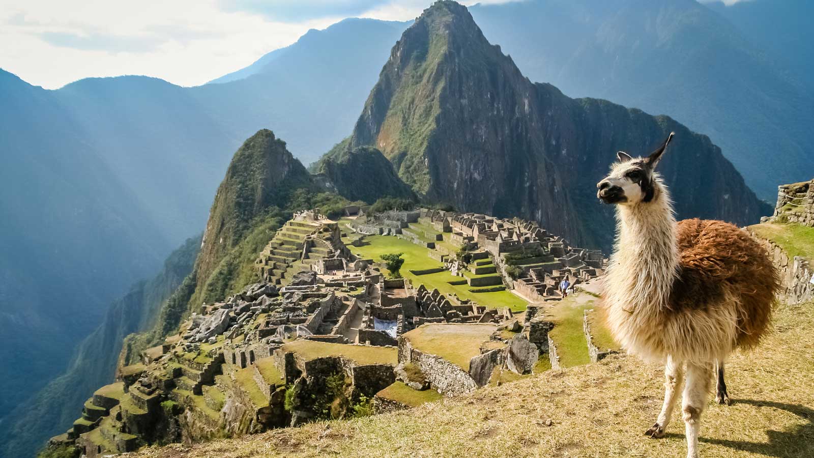 A lama in the foreground with Machu Picchu mountains and ruins behind it.