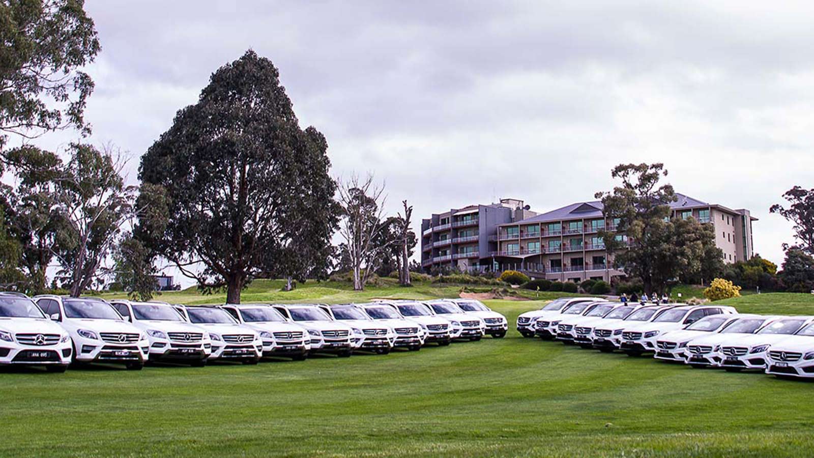 Two rows of silver sars parked outside RACV Goldfields Resort.