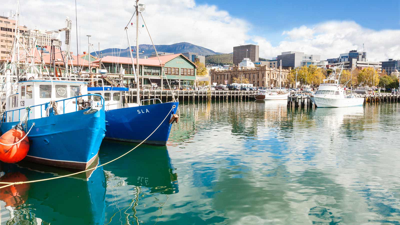 Small blue boats docked at Hobart. 