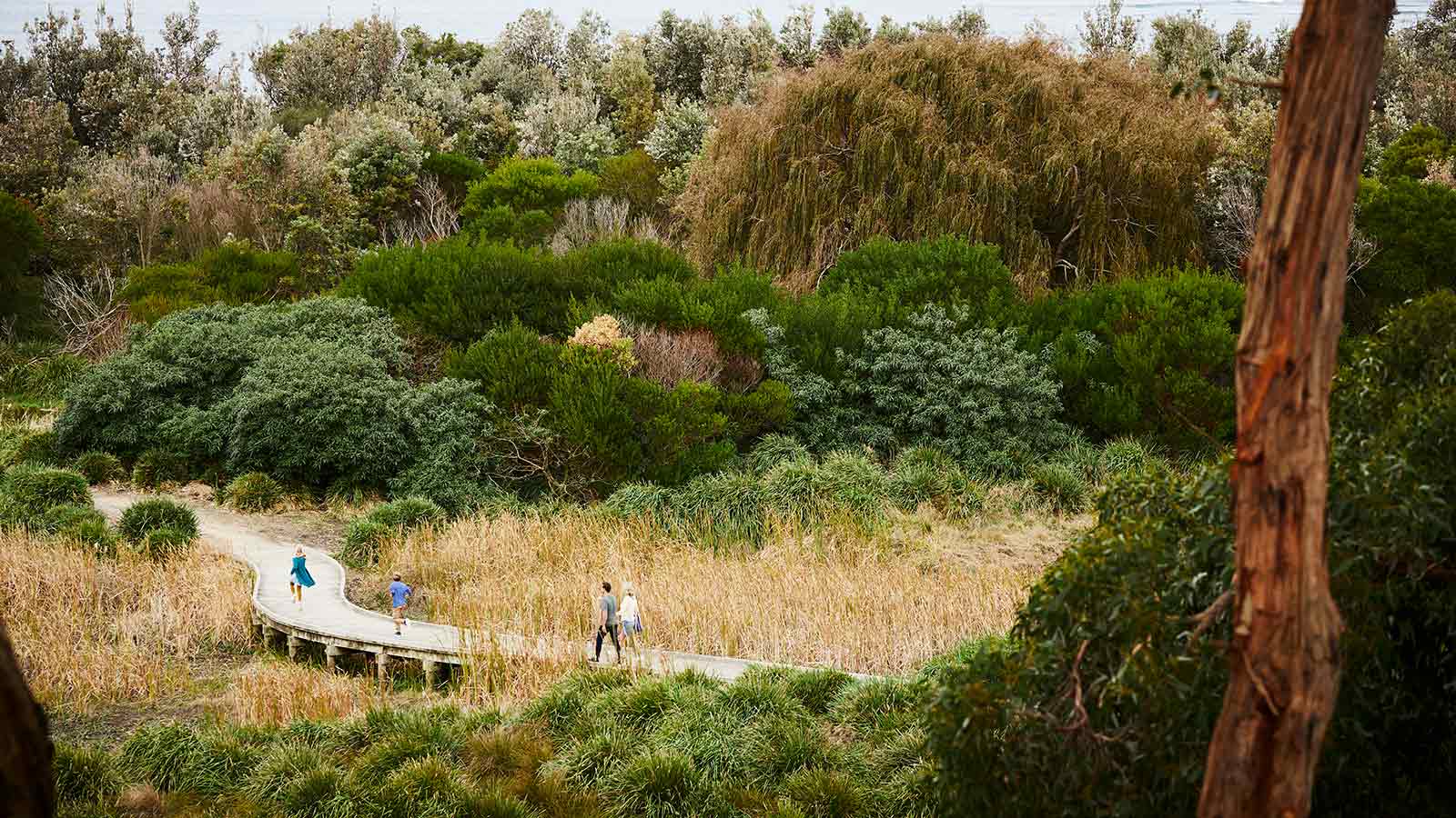 Parents and two kids walking on a bushland trail near from RACV Inverloch Resort.