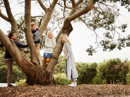 A young family climbing a gum tree. 