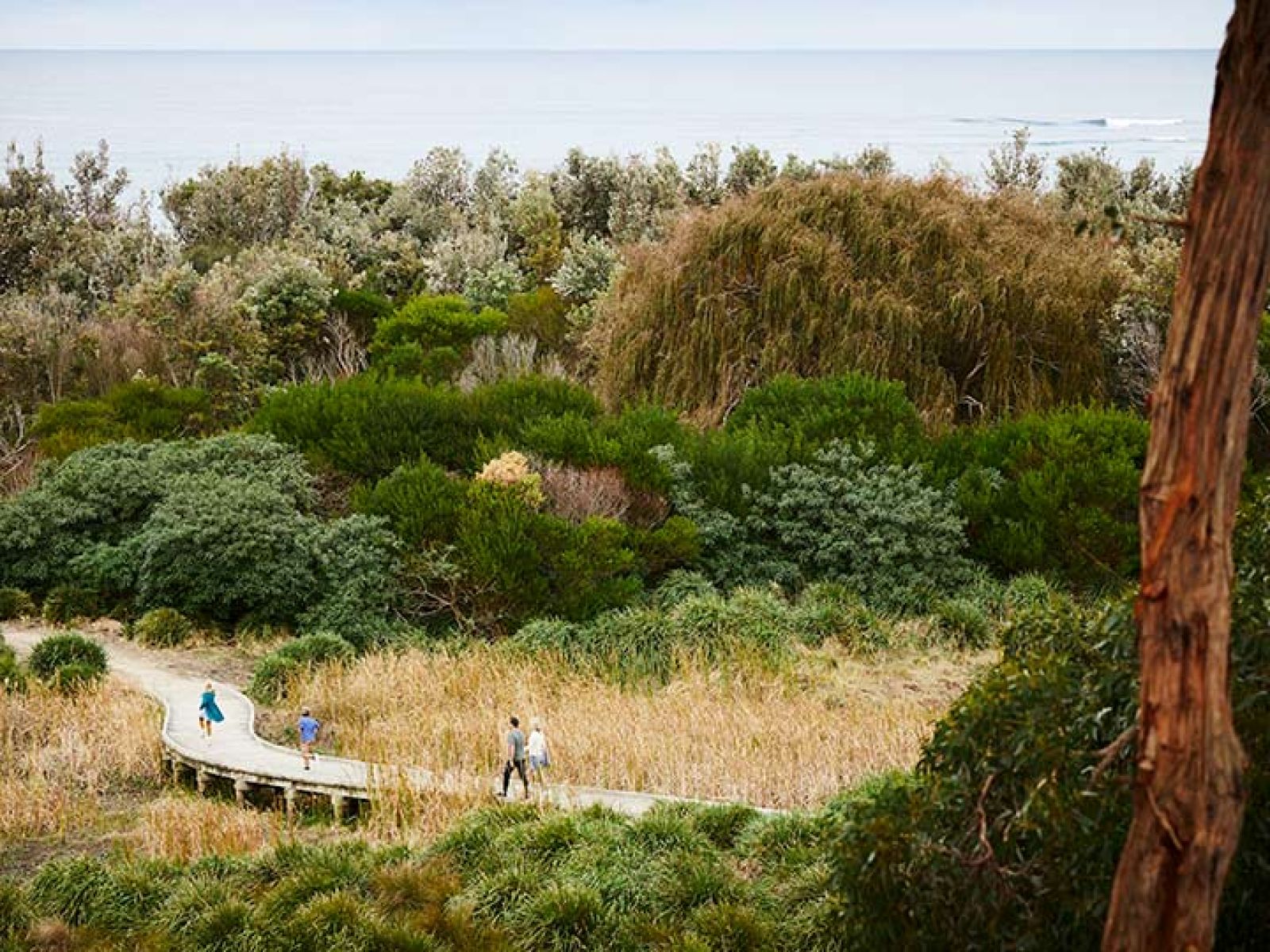 Parents and two kids walking on a bushland trail near from RACV Inverloch Resort.