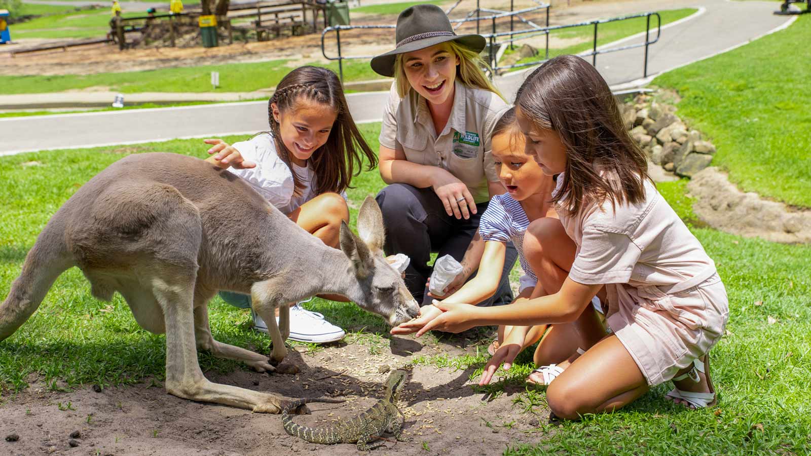 Kids feeding a Kangaroo with a Currumbin staff member