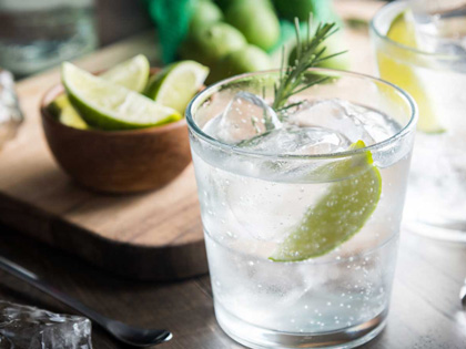 Fresh gin and tonic with wedges of lime. 