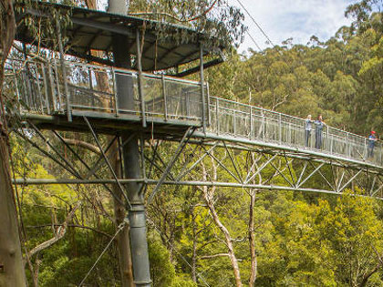 People walking across the Otway Fly