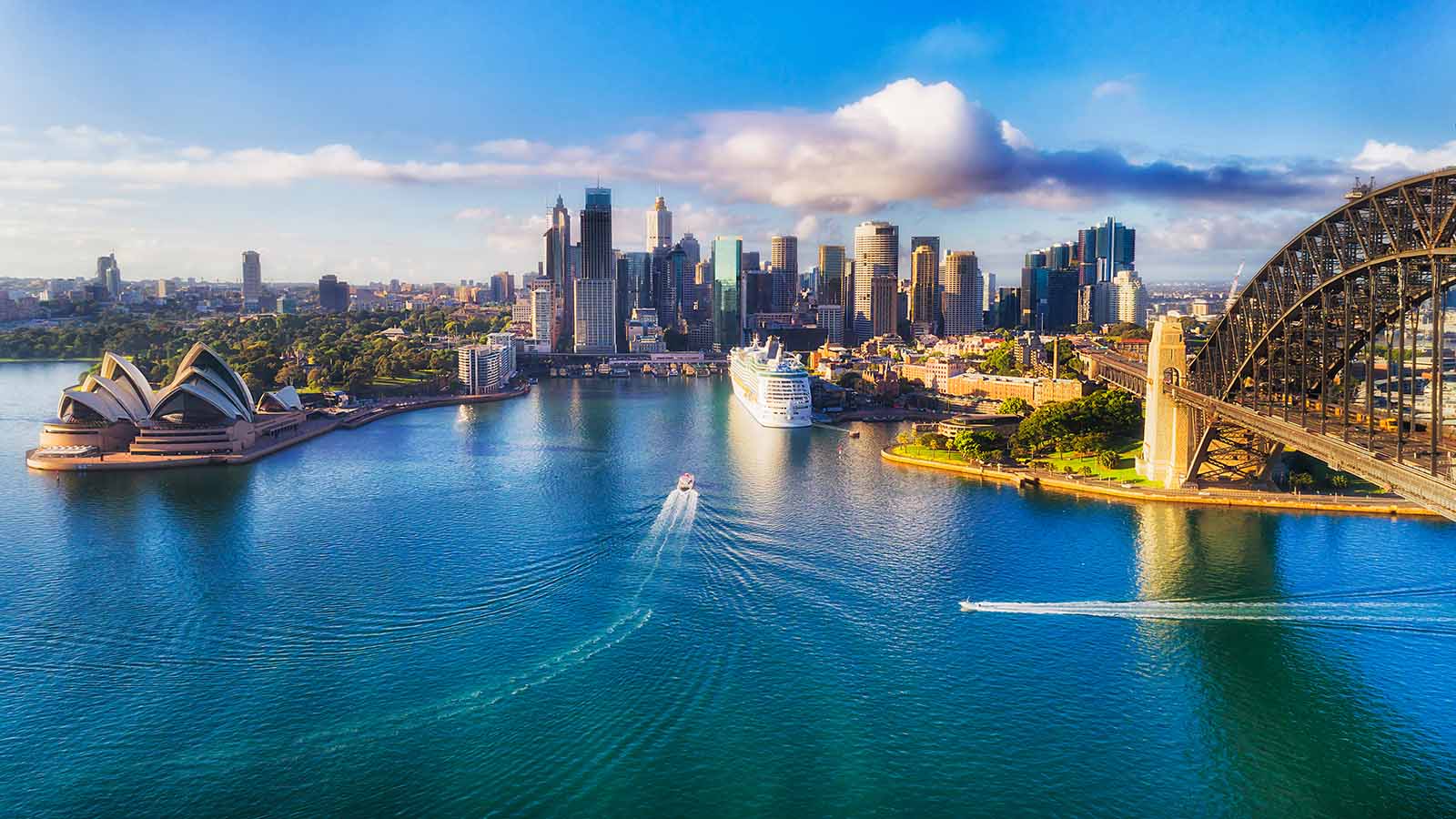 Wide view of Sydney Harbour with a cruise ship.