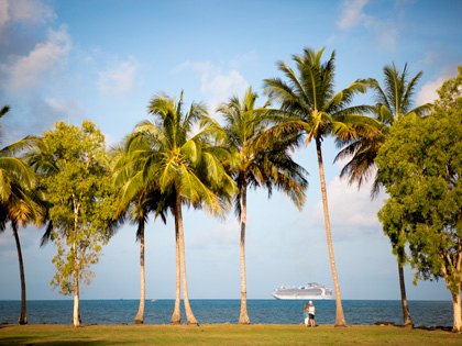 Lined palm tress with a princess cruise ship in the distance. 