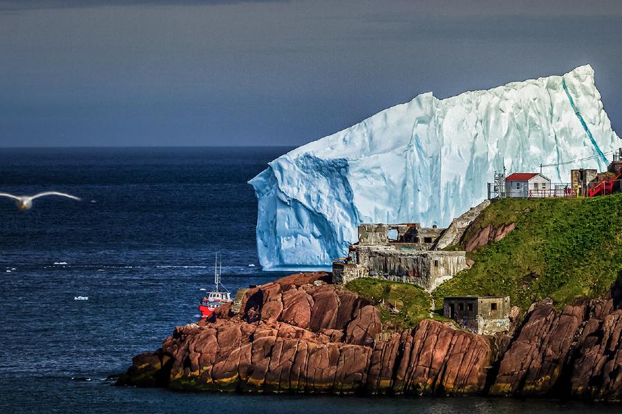 newfoundland-iceberg-coast-900x600-thumbnail.jpg