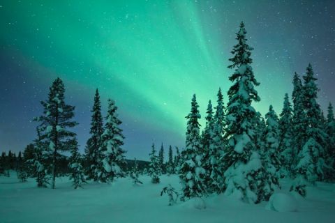 Northern Lights in Kiruna, Sweden