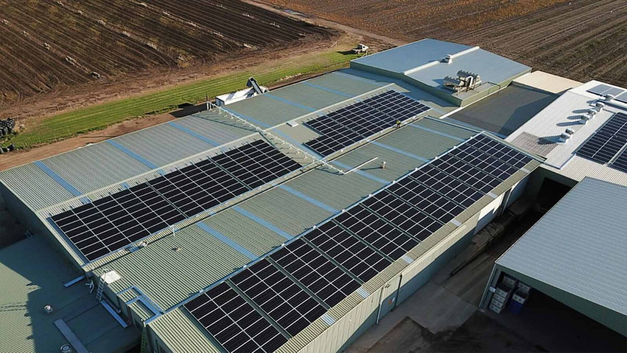 bonaccord-1600x900.jpg bonaccord-1600x900.jpg Solar panelling fitted on the roof of Bonaccord primary food producer.