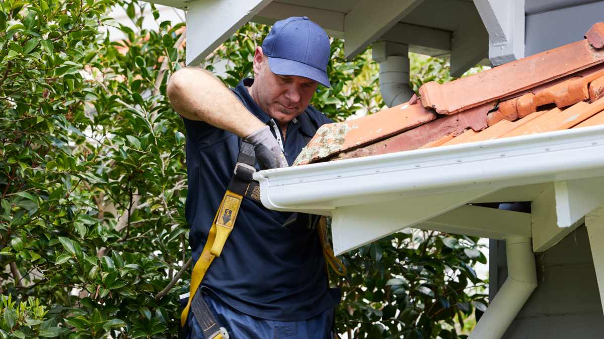 man clearing leaves from rooftop gutter