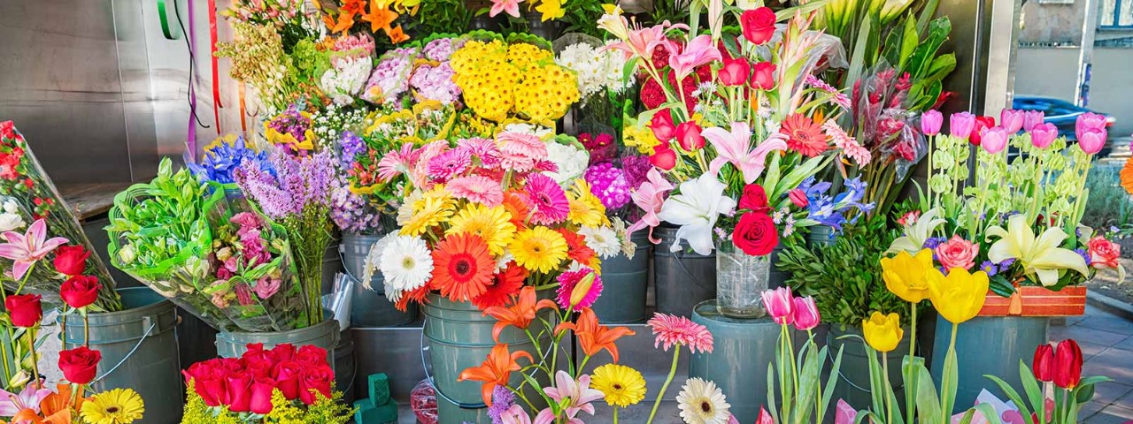 544975420 different bouquets of coloured flowers