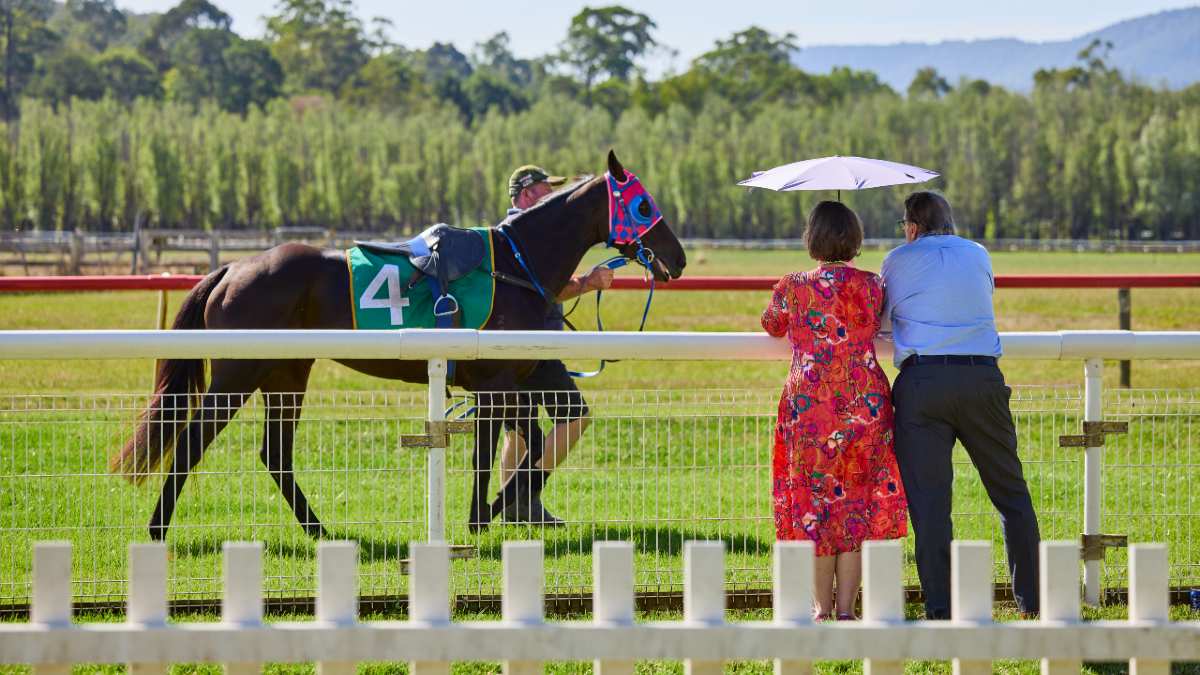 A couple dressed elegantly watch a horse led past on a grass track