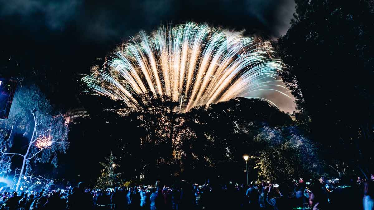 A shower of fireworks in the nightsky