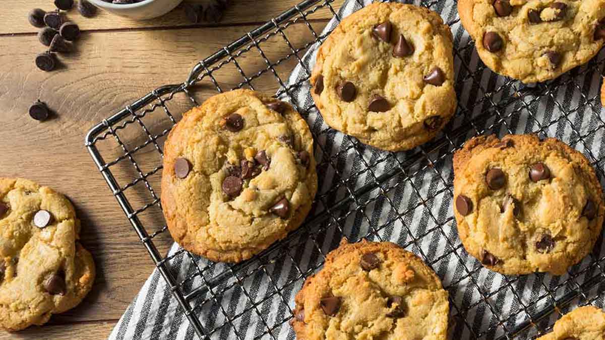Chocolate chip biscuits on a cooling rack.