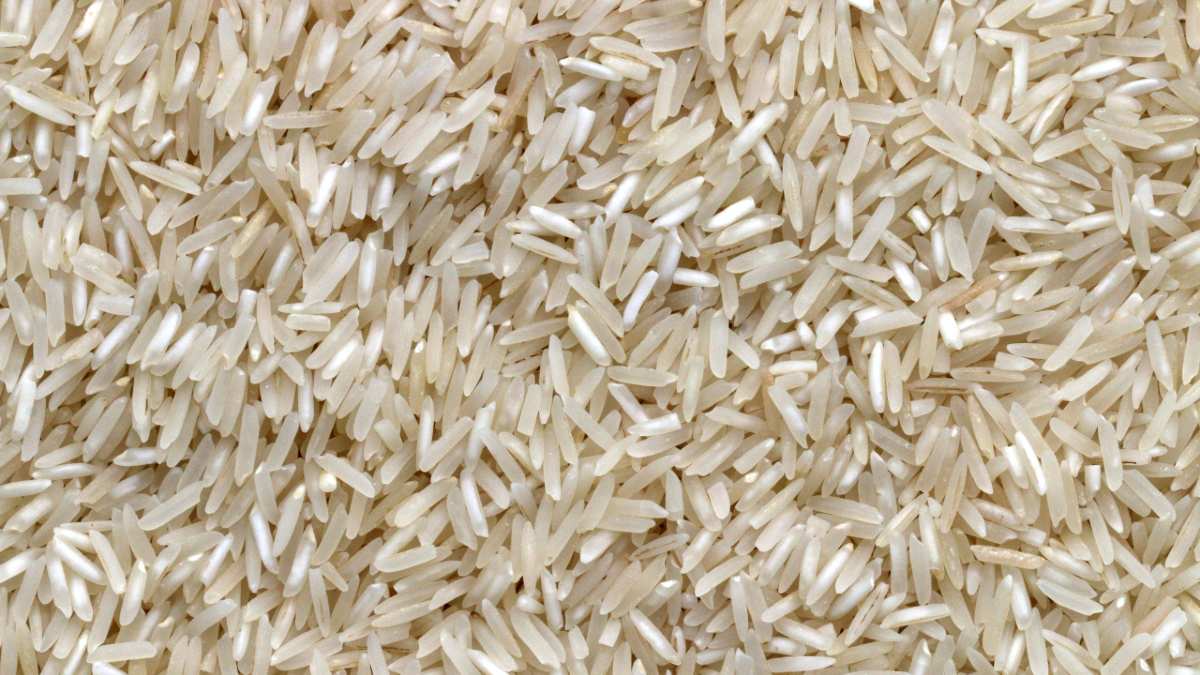 close up image of uncooked long grain rice