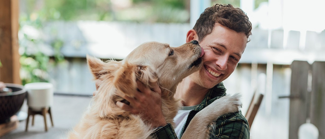 Dog licking owner sitting on verandah.