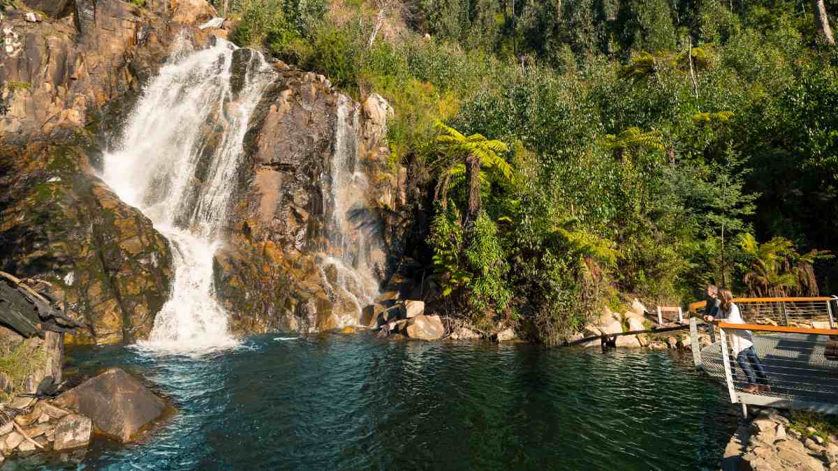 man and woman looking at waterfall from deck