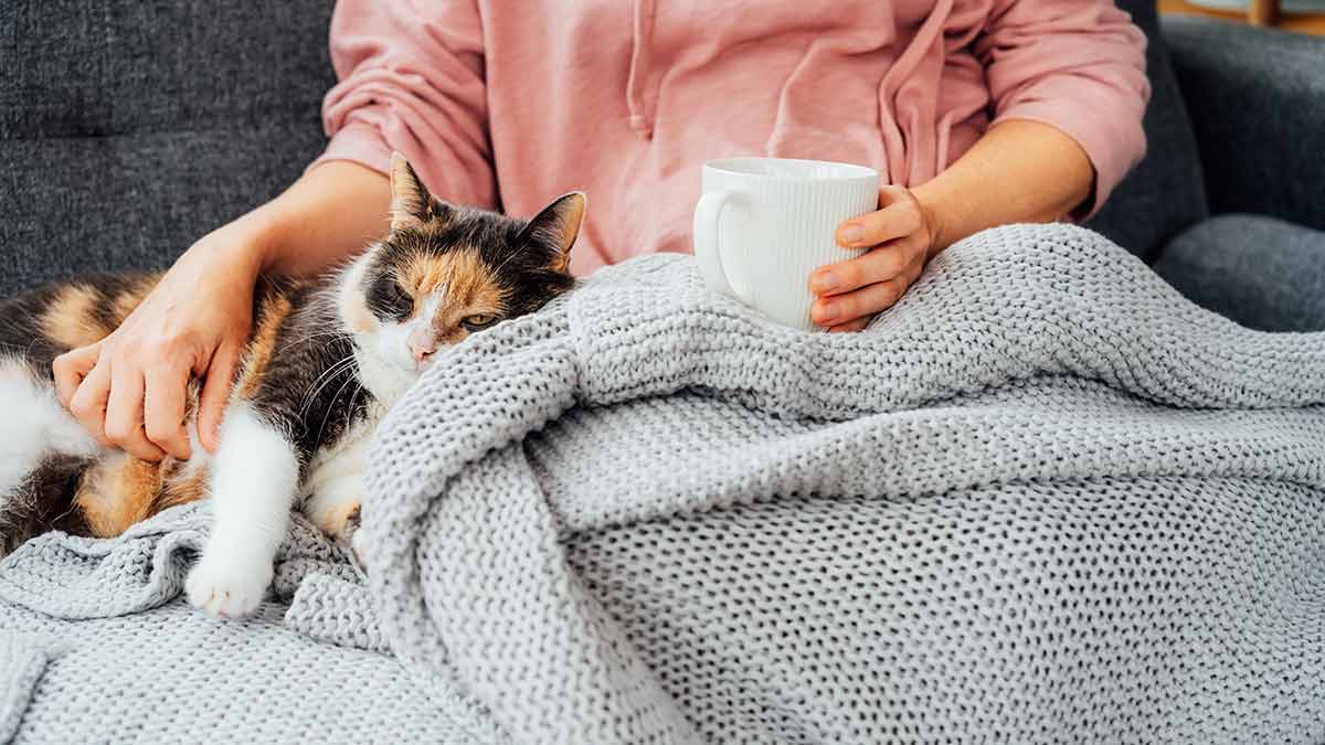 Woman with throw rug and hot drink cuddling cat on sofa..