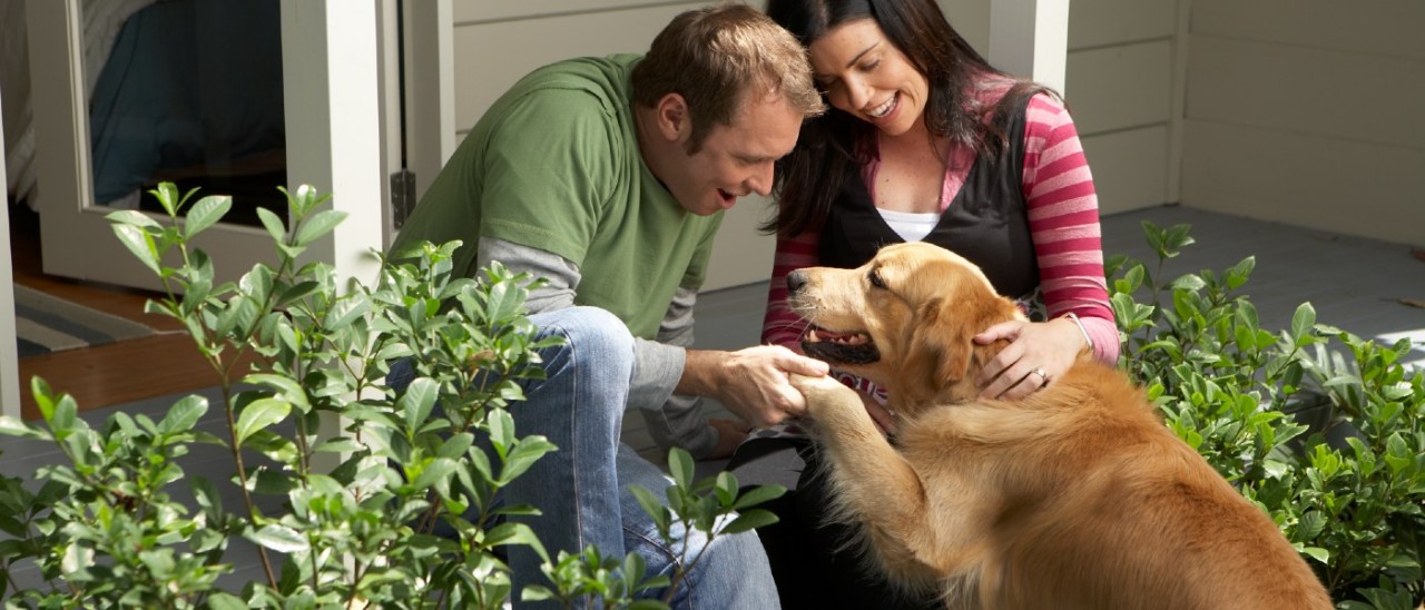 A couple with a golden retriever sitting on their front porch on sunny day