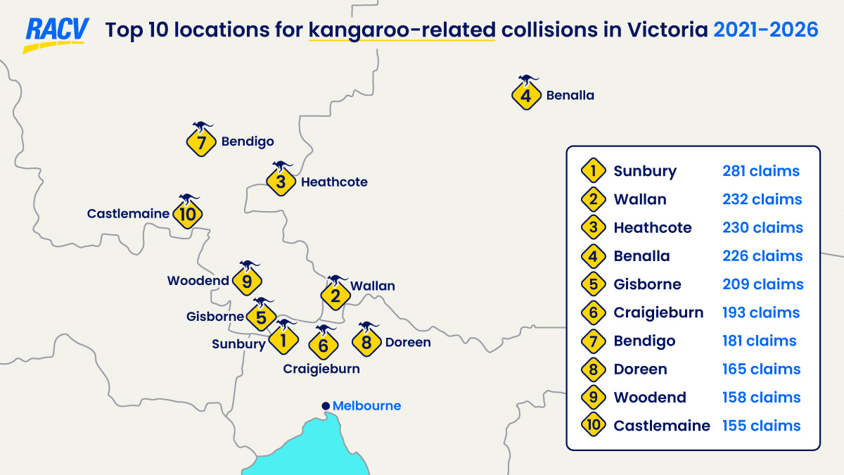 A map showing the most common locations of kangaroo-related collisions between 2021-2026