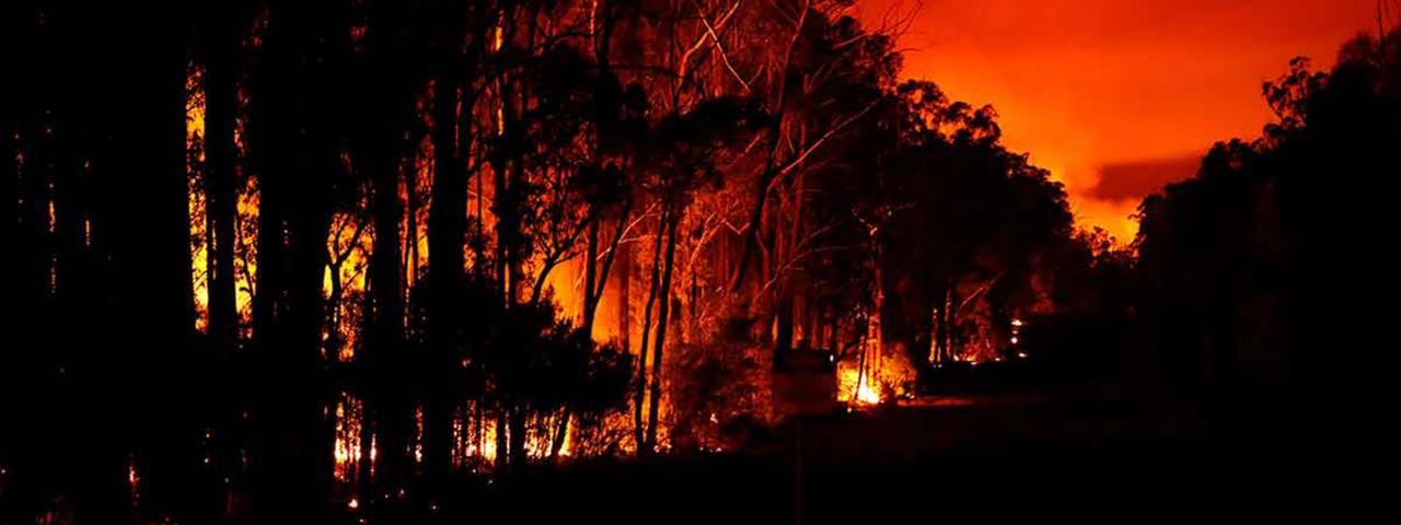 1197103152 bushfire in mallacoota