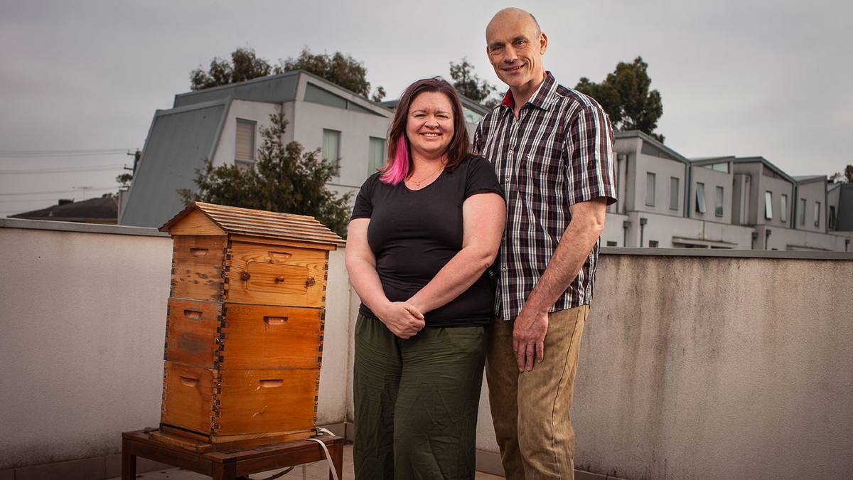 couple standing next to backyard wooden beehive