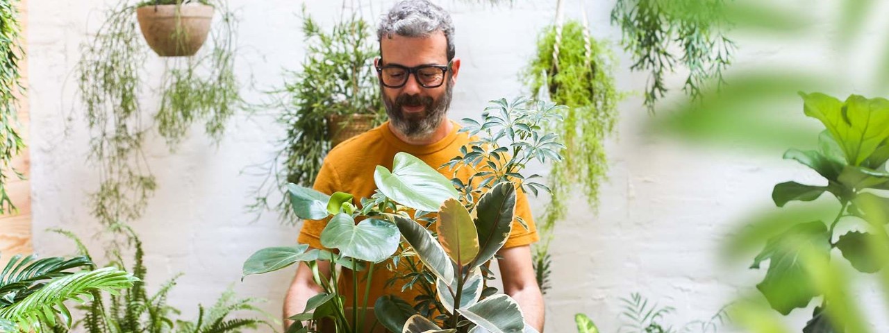 man working on plants on balcony garden