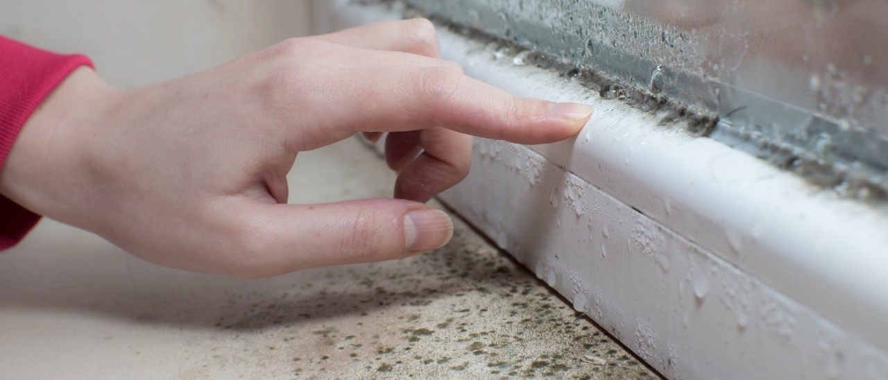 A hand touching a wooden windowsill where blotchy black mould has formed and condensation can be seen on the glass pane