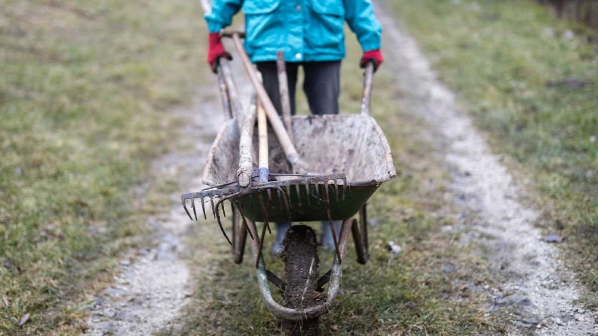 person walking with rakes oin a wheelbarrow on a muddy path