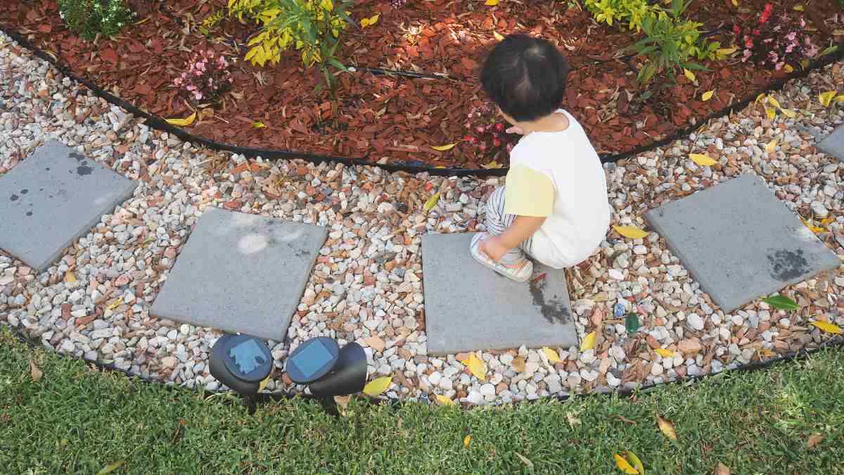 A child playing in a garden featuring a mulch garden bed, lawn and gravel path with pavers