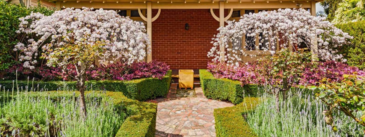 A landscaped garden featuring ornamental trees, a paved path and hedges