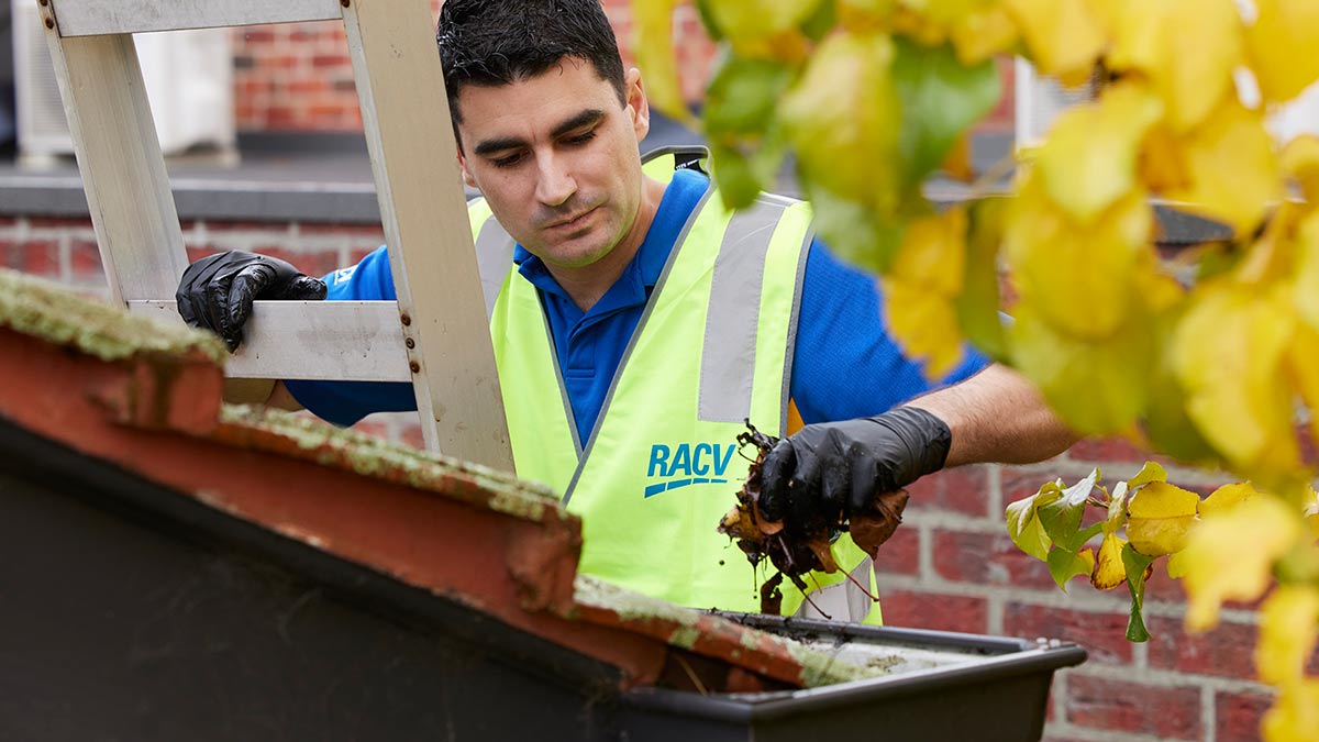 RACV tradie on ladder cleaning out leaves from gutter on suburban home