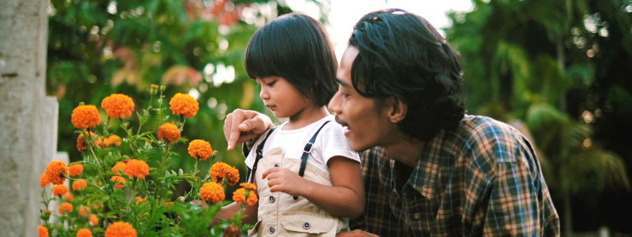 A father and young son admiring marigolds