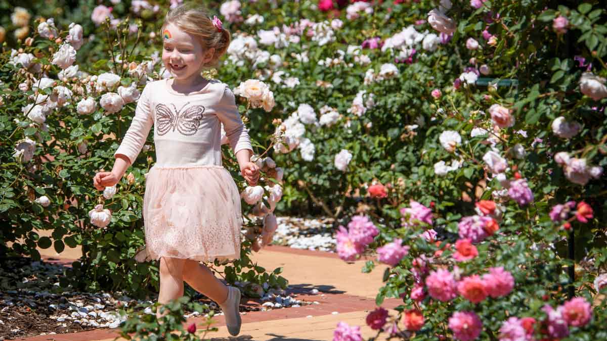 child at rose show