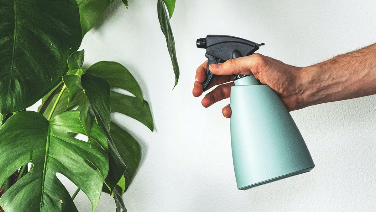 hand with teal spray bottle next to plant