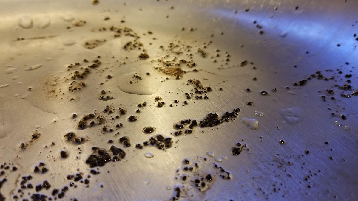 kitchen sink full of coffee grounds