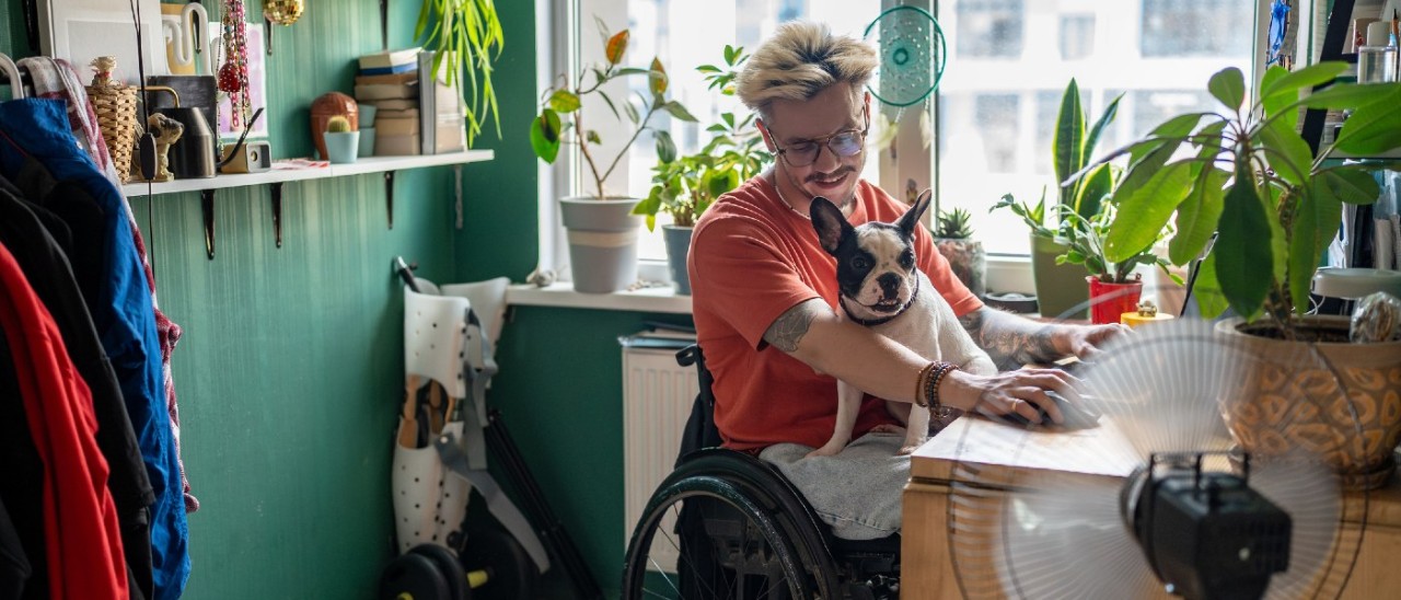 A man sitting in a wheelchair while working at a desk. He is smiling down at a black and white French bulldog on his lap