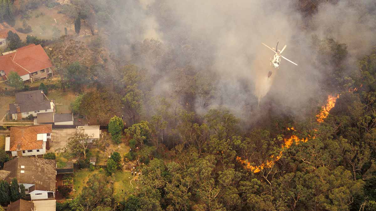 Aerial view of bushfire close to housing in Sydney Australia